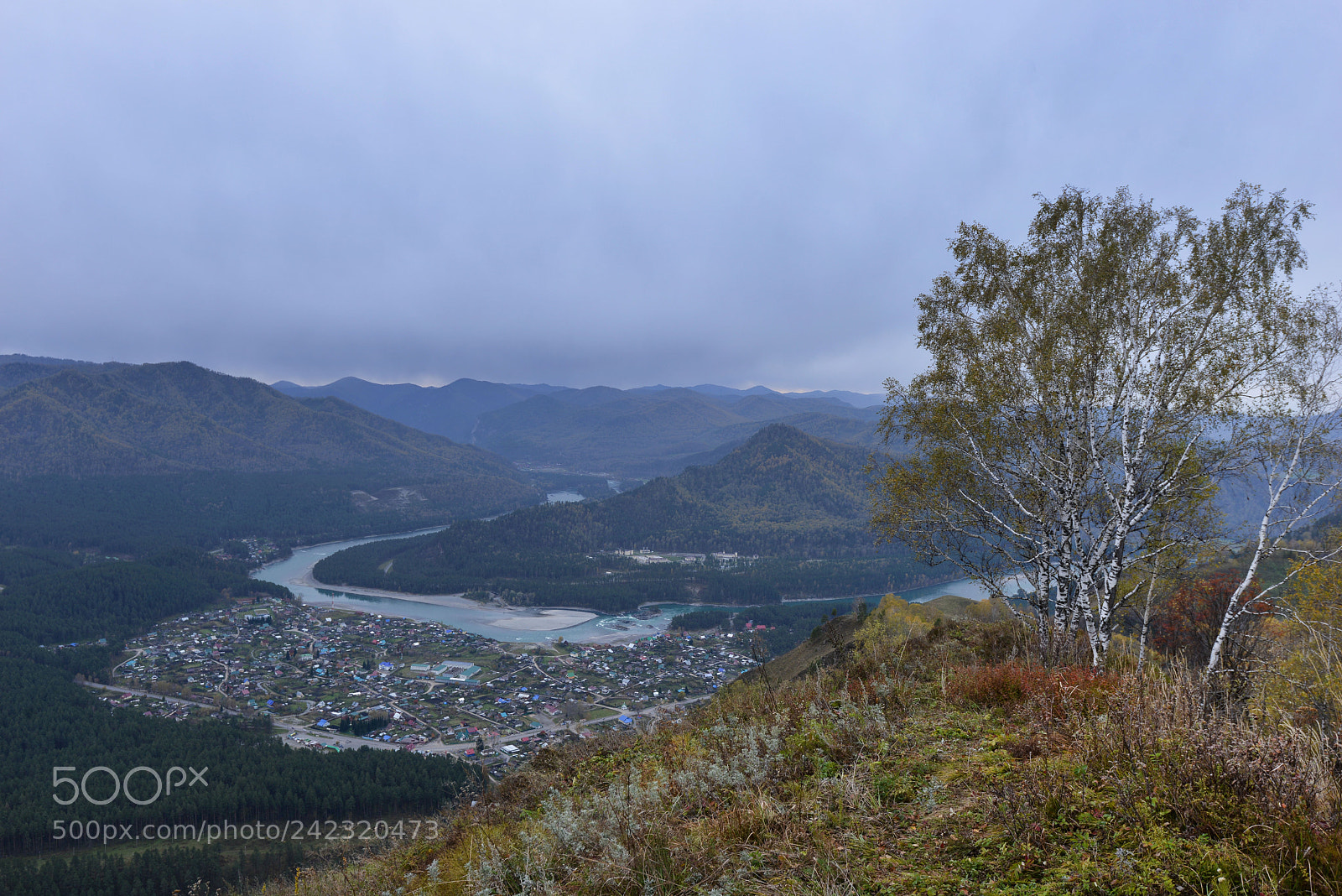 Nikon D800E sample photo. Altai photography