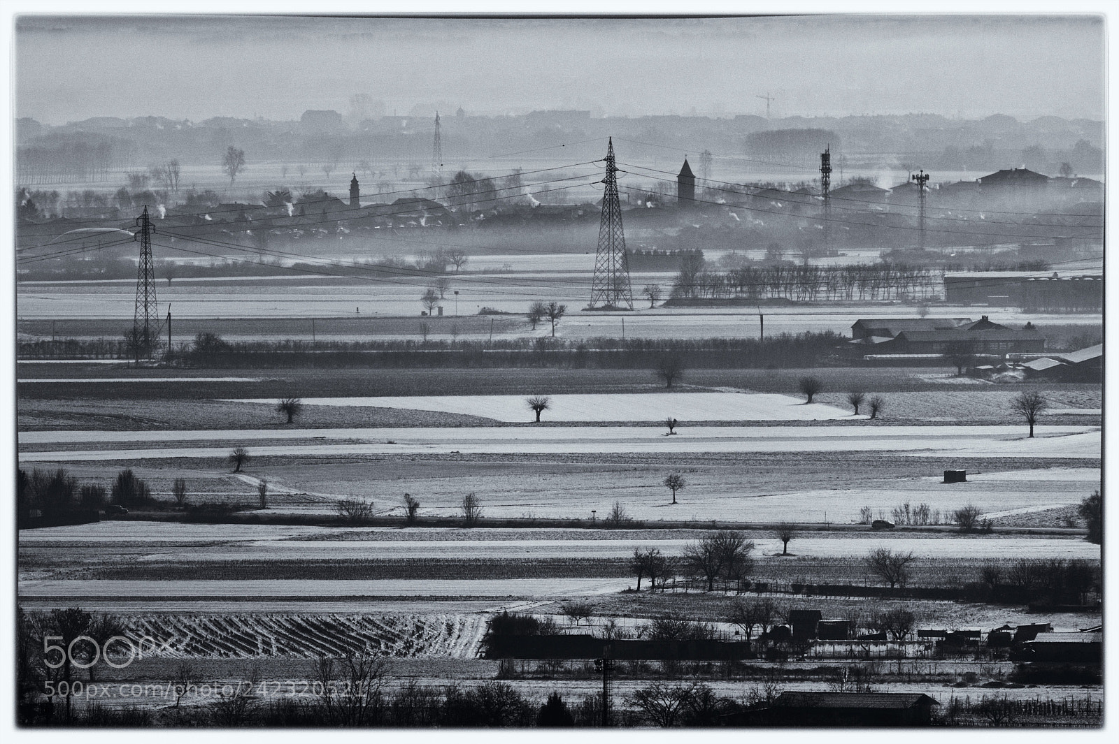 Nikon D500 sample photo. Flatlands photography