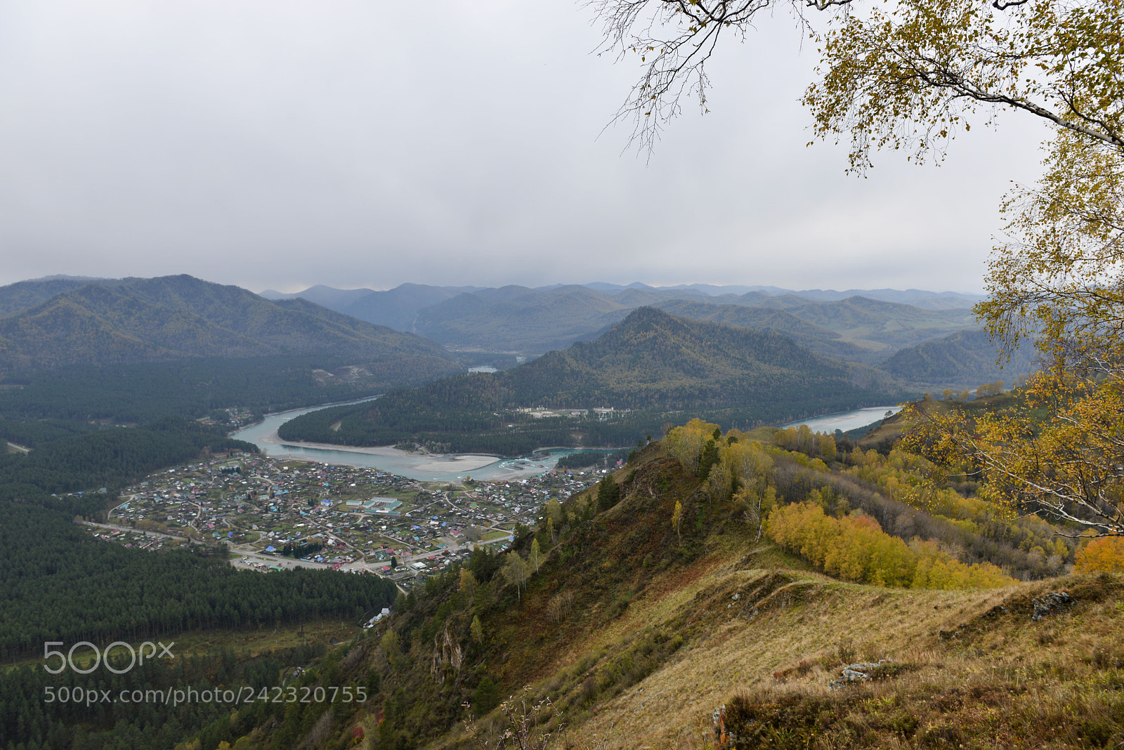 Nikon D800E sample photo. Altai photography