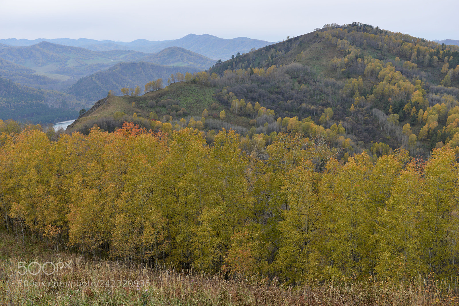 Nikon D800E sample photo. Altai photography