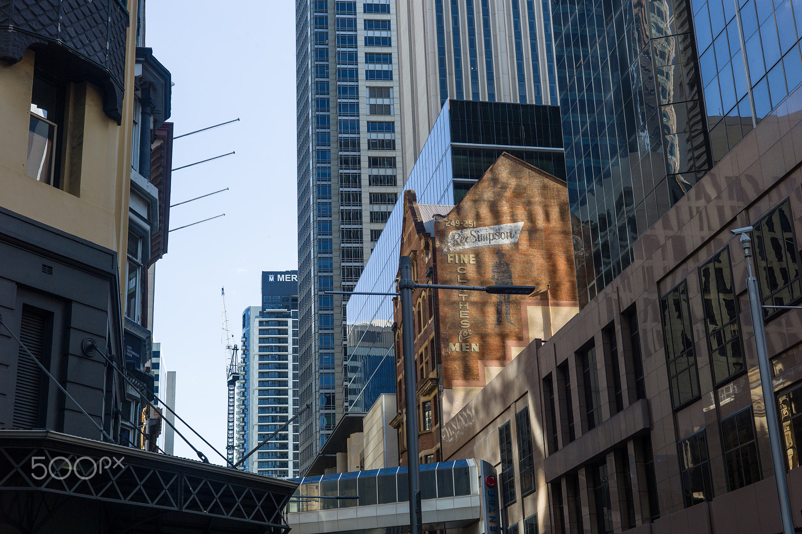 Summicron-M 50mm f/2 (IV, V) sample photo. Sydney photography