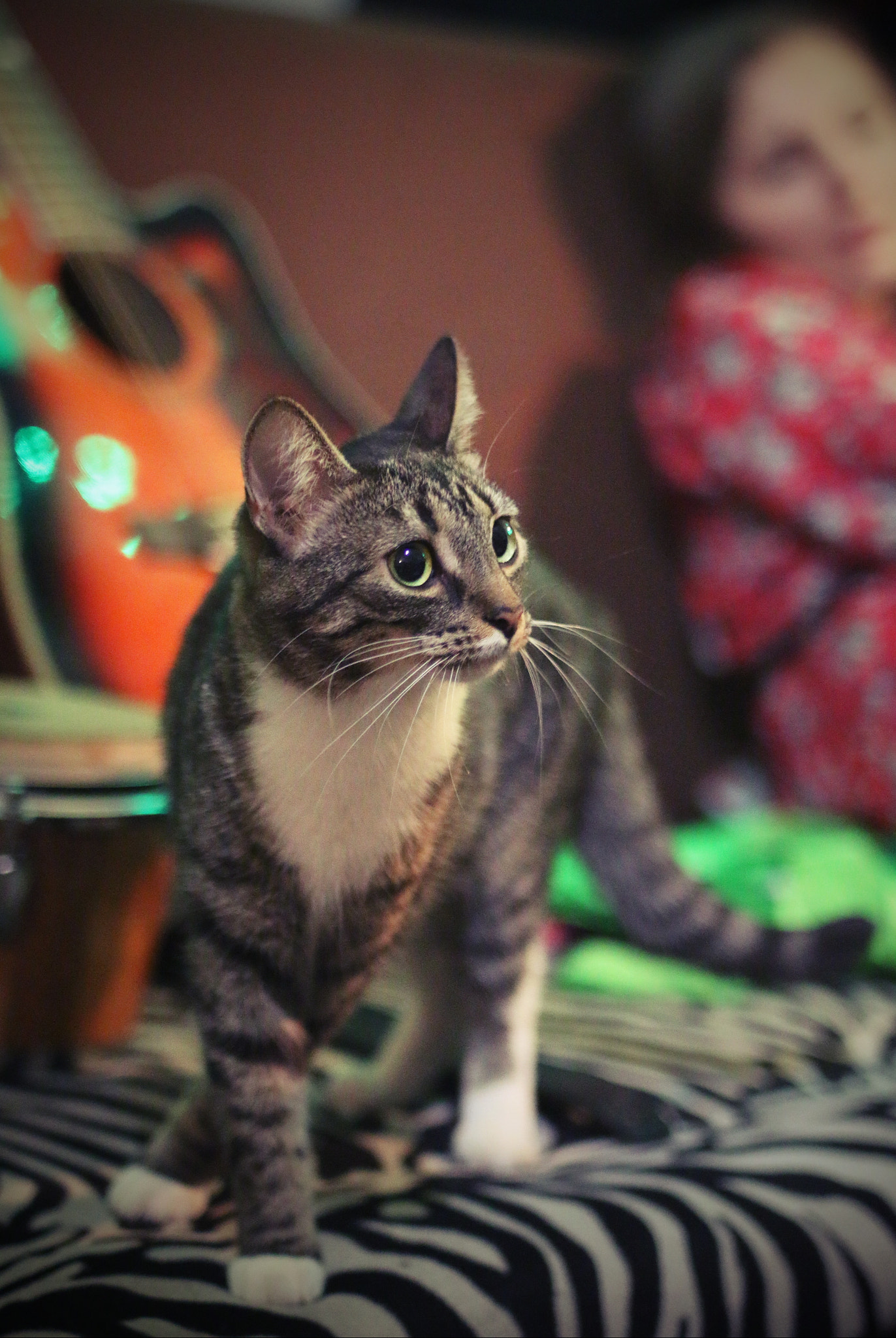 Canon EF 35-80mm f/4-5.6 sample photo. 12.jpg photography