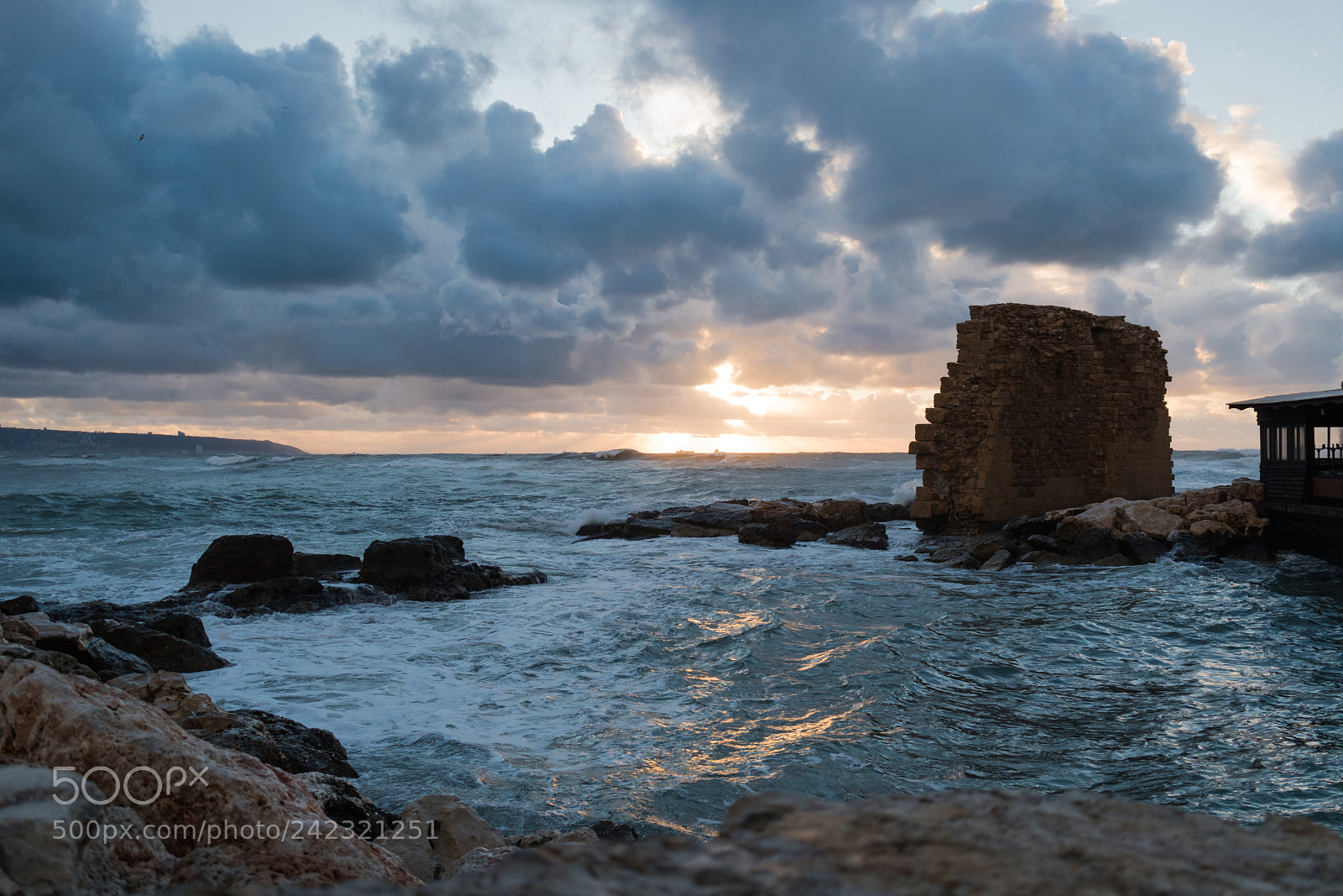 Nikon D5600 sample photo. Acre port photography