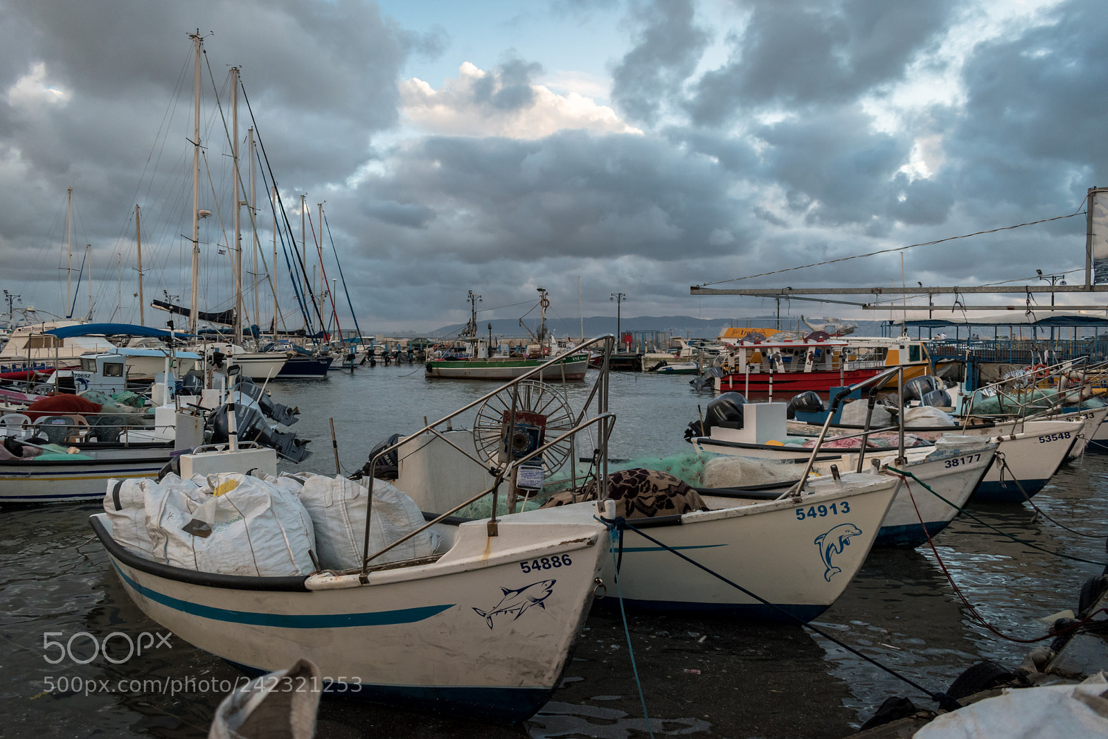 Nikon D5600 sample photo. Acre port photography
