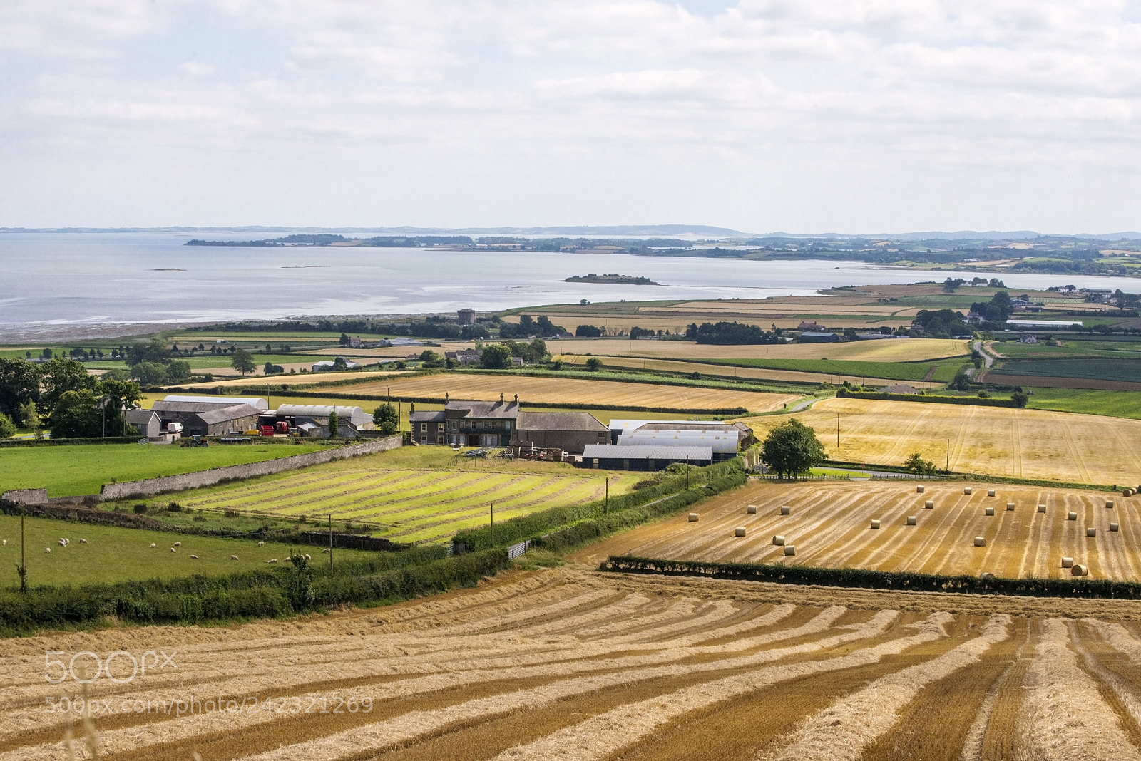 Nikon D600 sample photo. Coastal harvest (2) photography