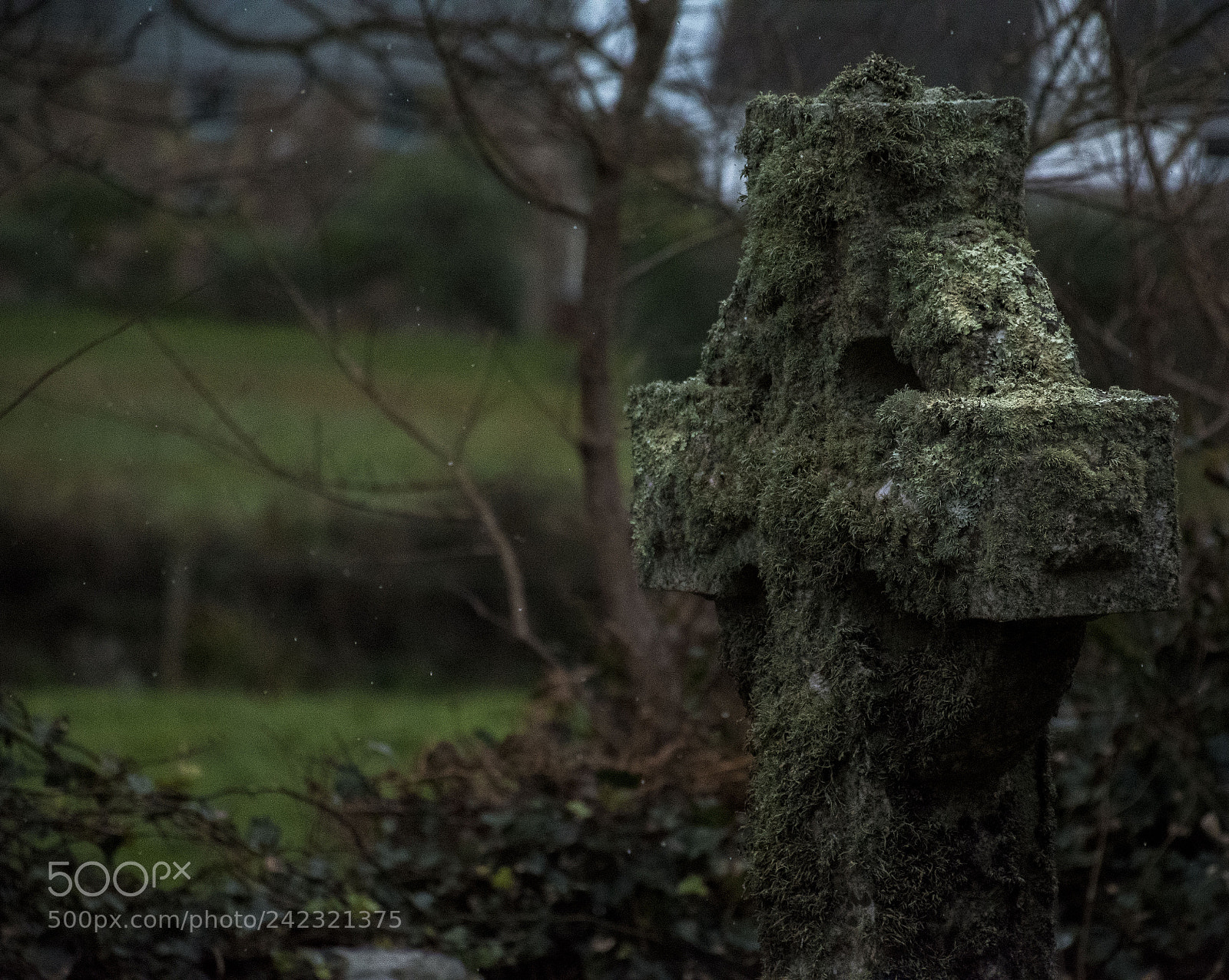 Nikon D5500 sample photo. Dslr photography