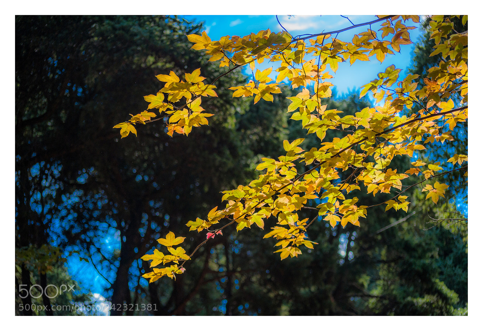 Nikon D3 sample photo. Untitled photography