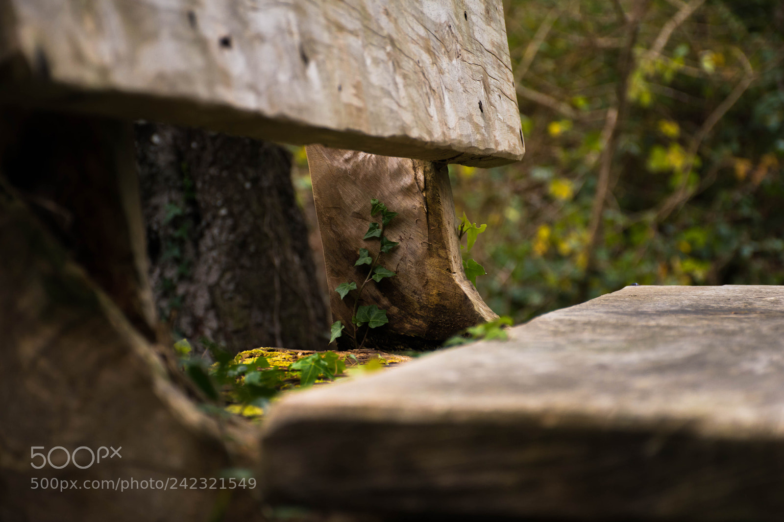 Nikon D5500 sample photo. Dslr photography