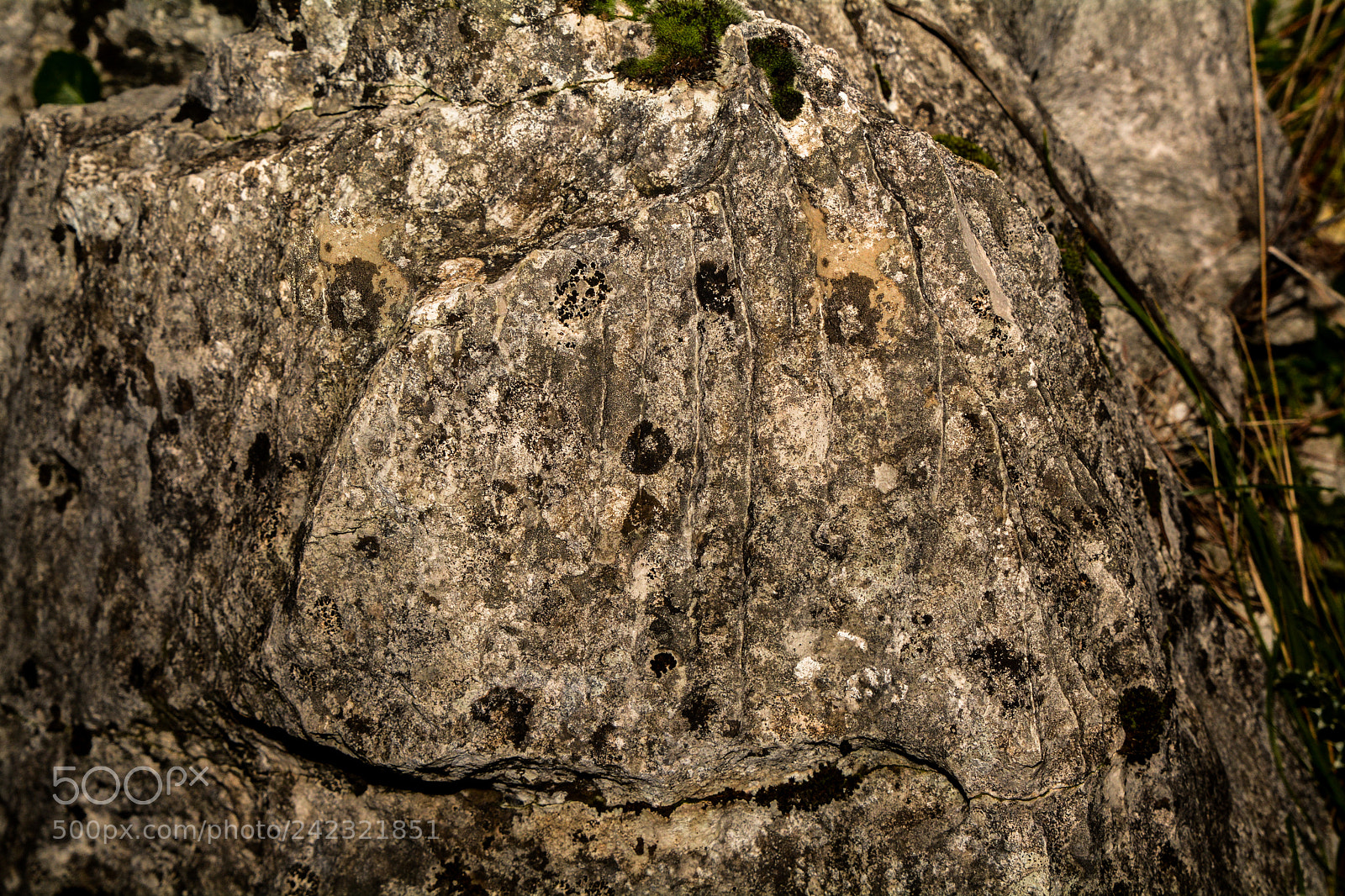 Nikon D7100 sample photo. Stone face photography