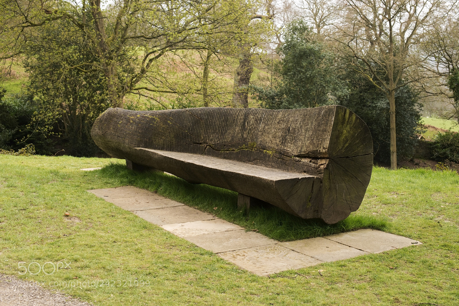 Nikon D600 sample photo. Large seat (1) photography