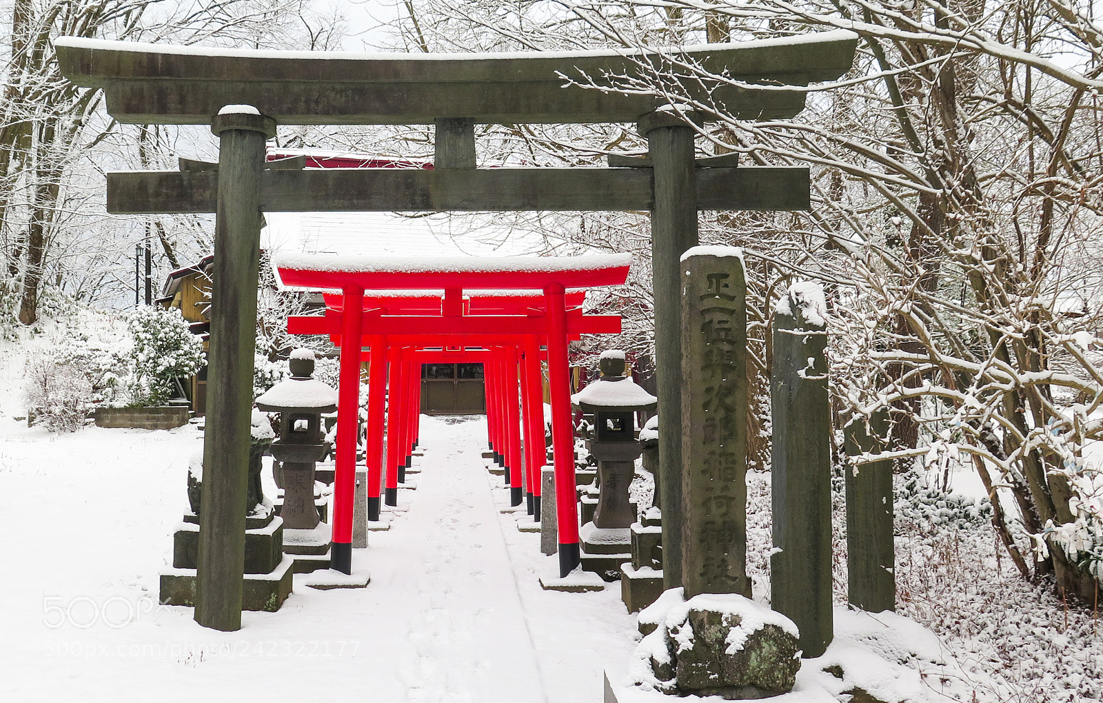 Canon PowerShot G16 sample photo. Hachiman shrine torii photography