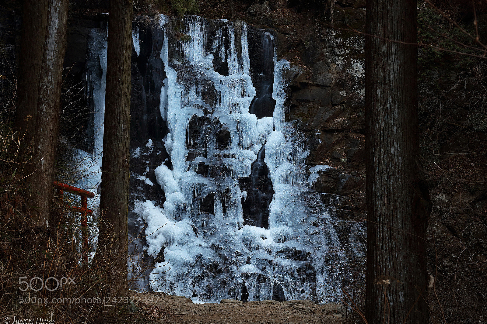 Canon EOS 5DS sample photo. Winter mystical at the photography