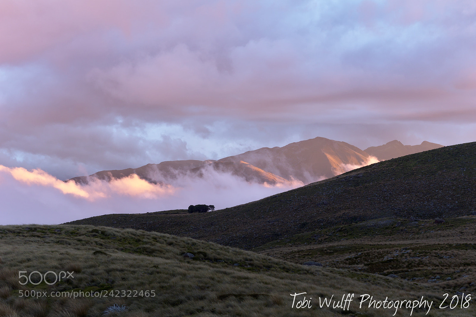 Olympus OM-D E-M1 sample photo. Clouds on fire photography