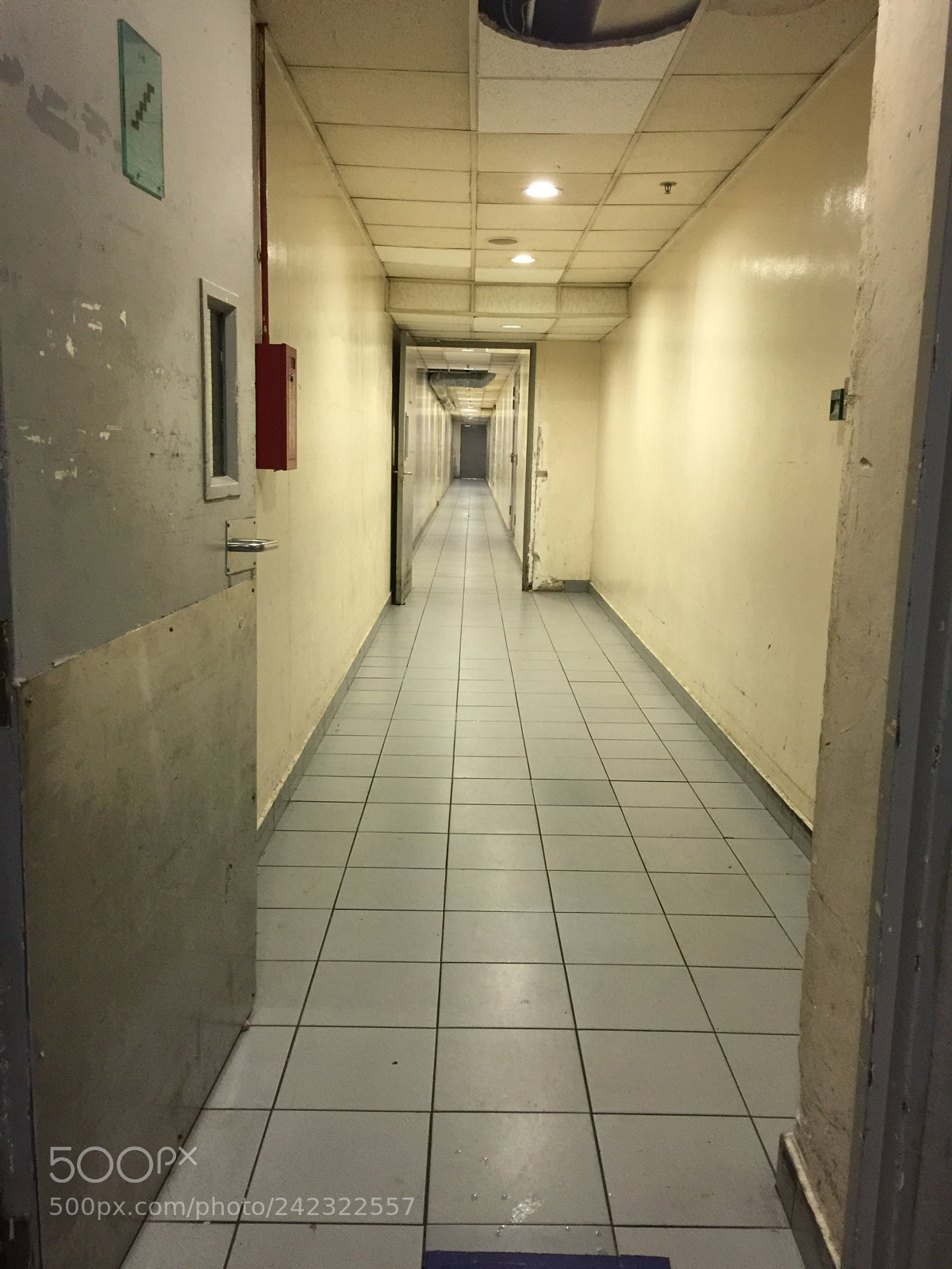 Apple iPhone 6 Plus sample photo. Untitled photography