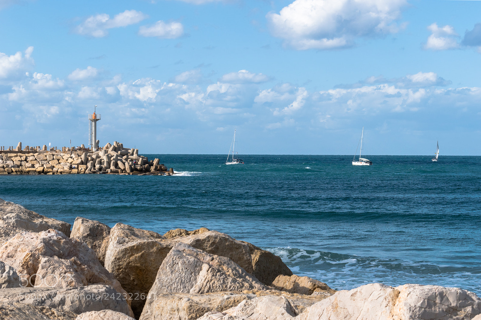 Nikon D5600 sample photo. A sunny day at photography