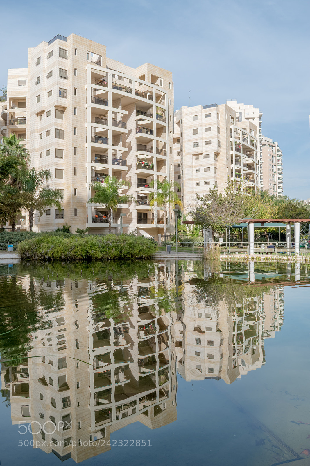 Nikon D5600 sample photo. Water pond refection photography