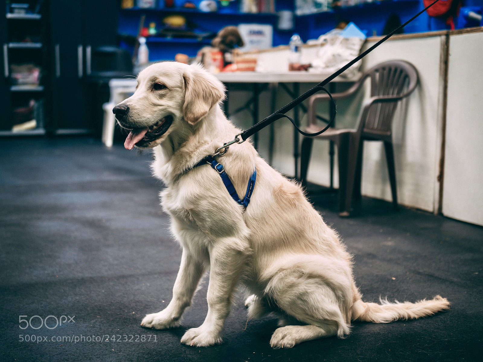 Panasonic Lumix DC-GH5 sample photo. First training class photography
