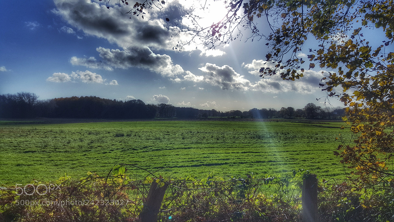 Samsung GALAXY S6 edge sample photo. Untitled photography