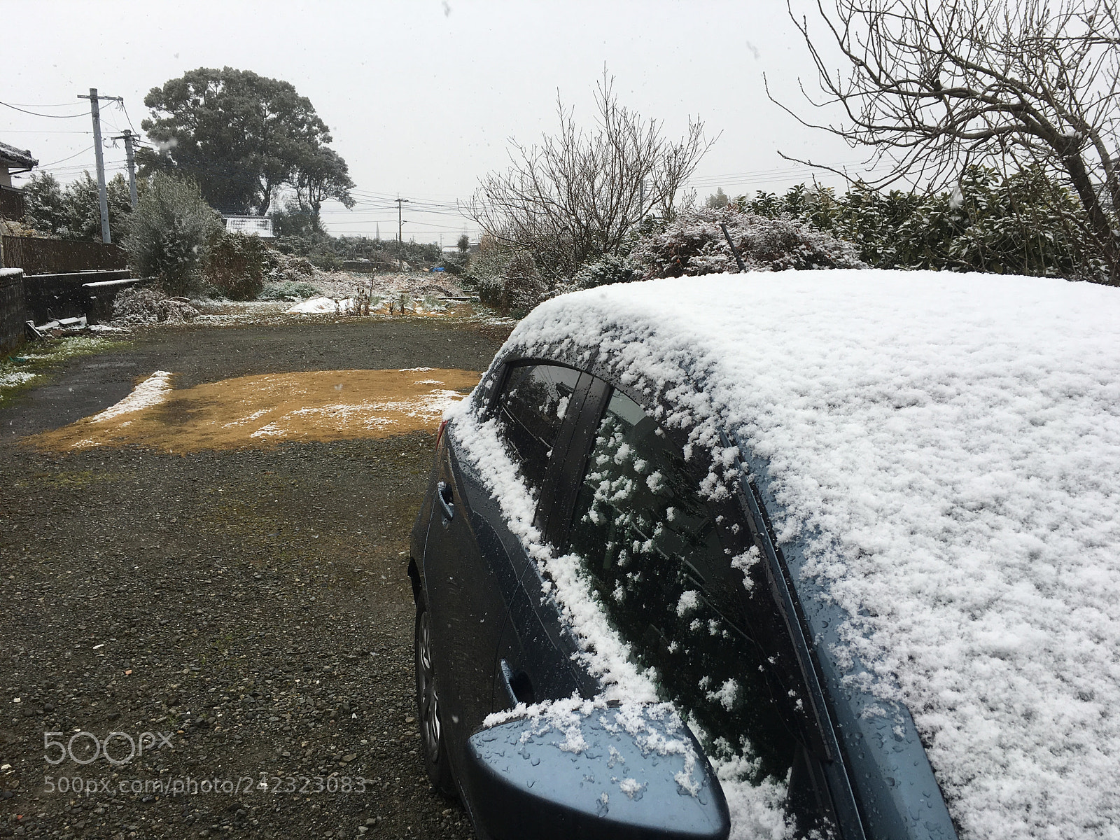 Apple iPhone 6s sample photo. A cold day photography