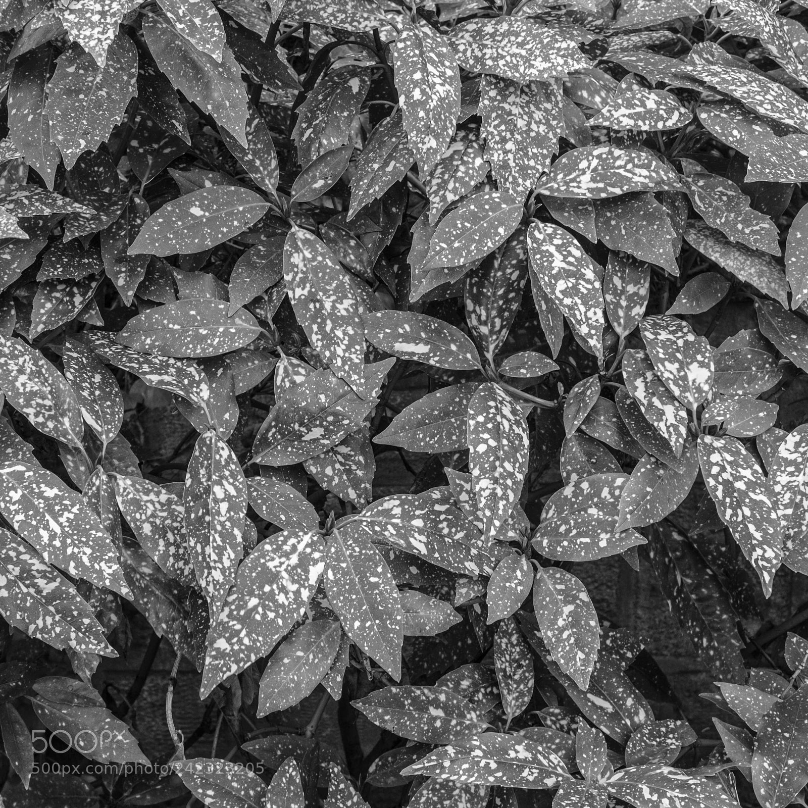 Fujifilm X100T sample photo. Paris 4502 photography