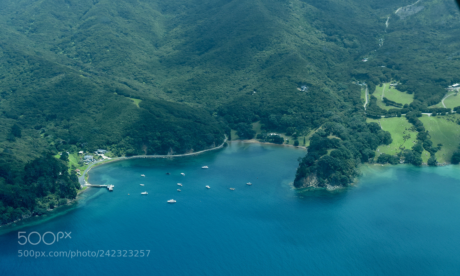 Nikon D3400 sample photo. Great barrier island photography