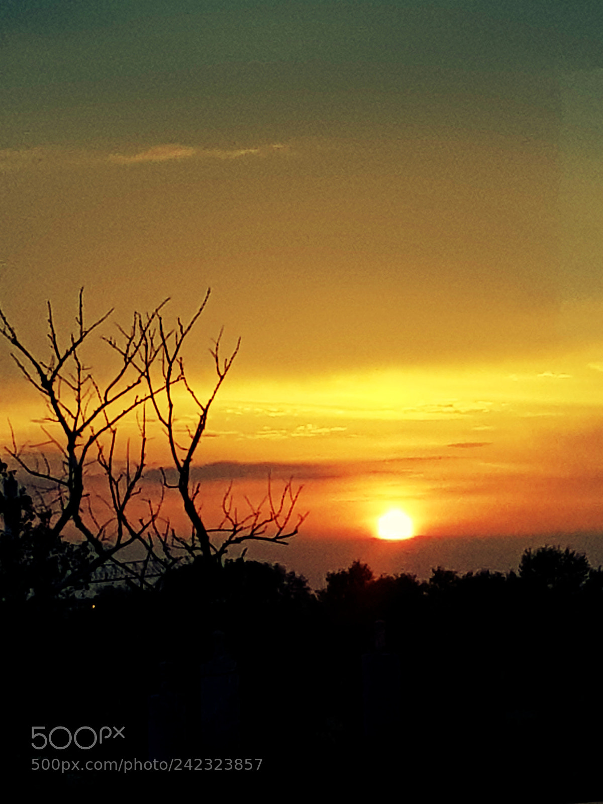 Samsung Galaxy S8 sample photo. Untitled photography