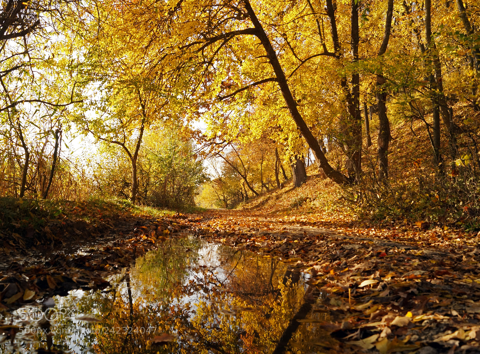 Sony SLT-A58 sample photo. Autumn landscape photography