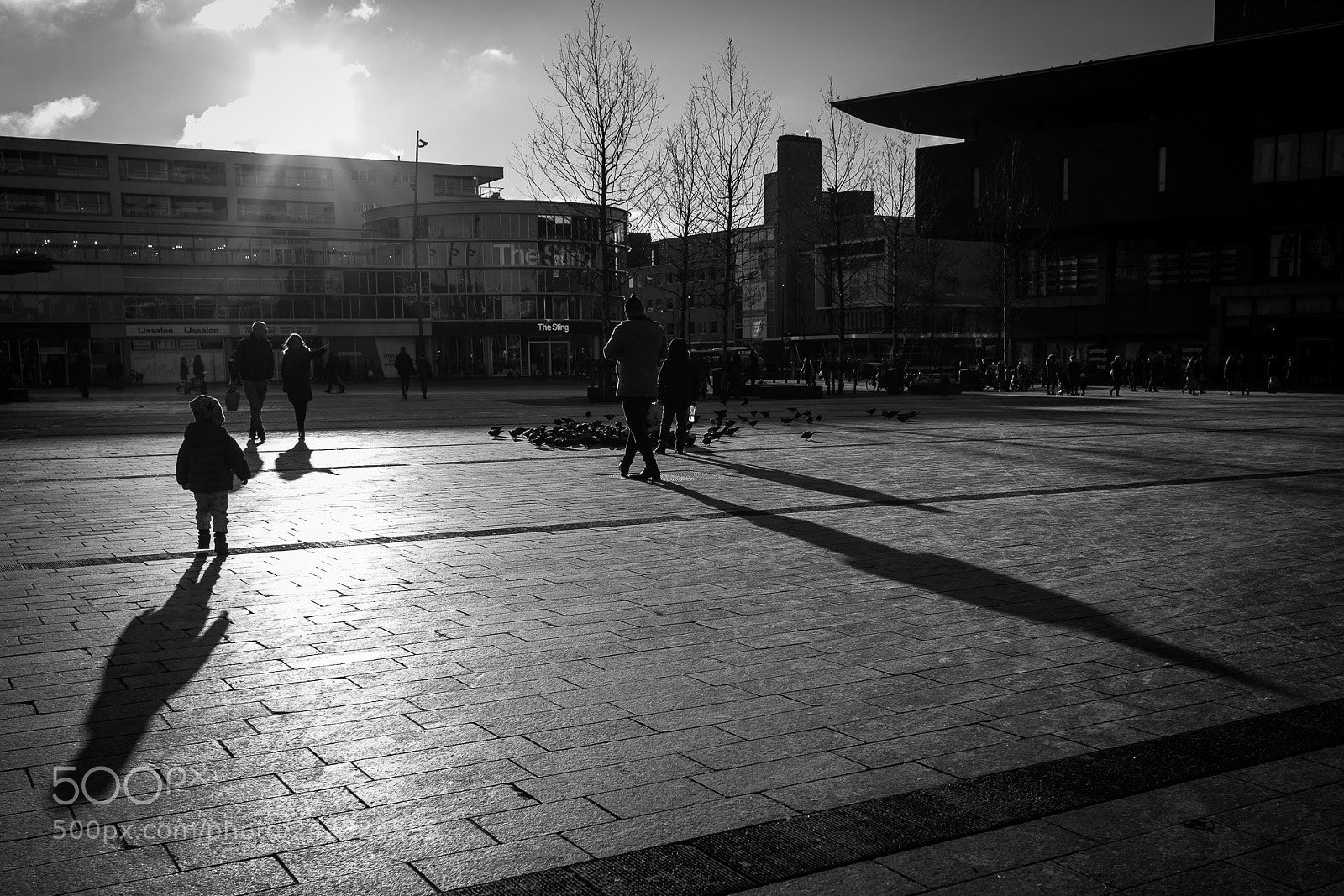 Fujifilm X70 sample photo. Tegenlicht photography
