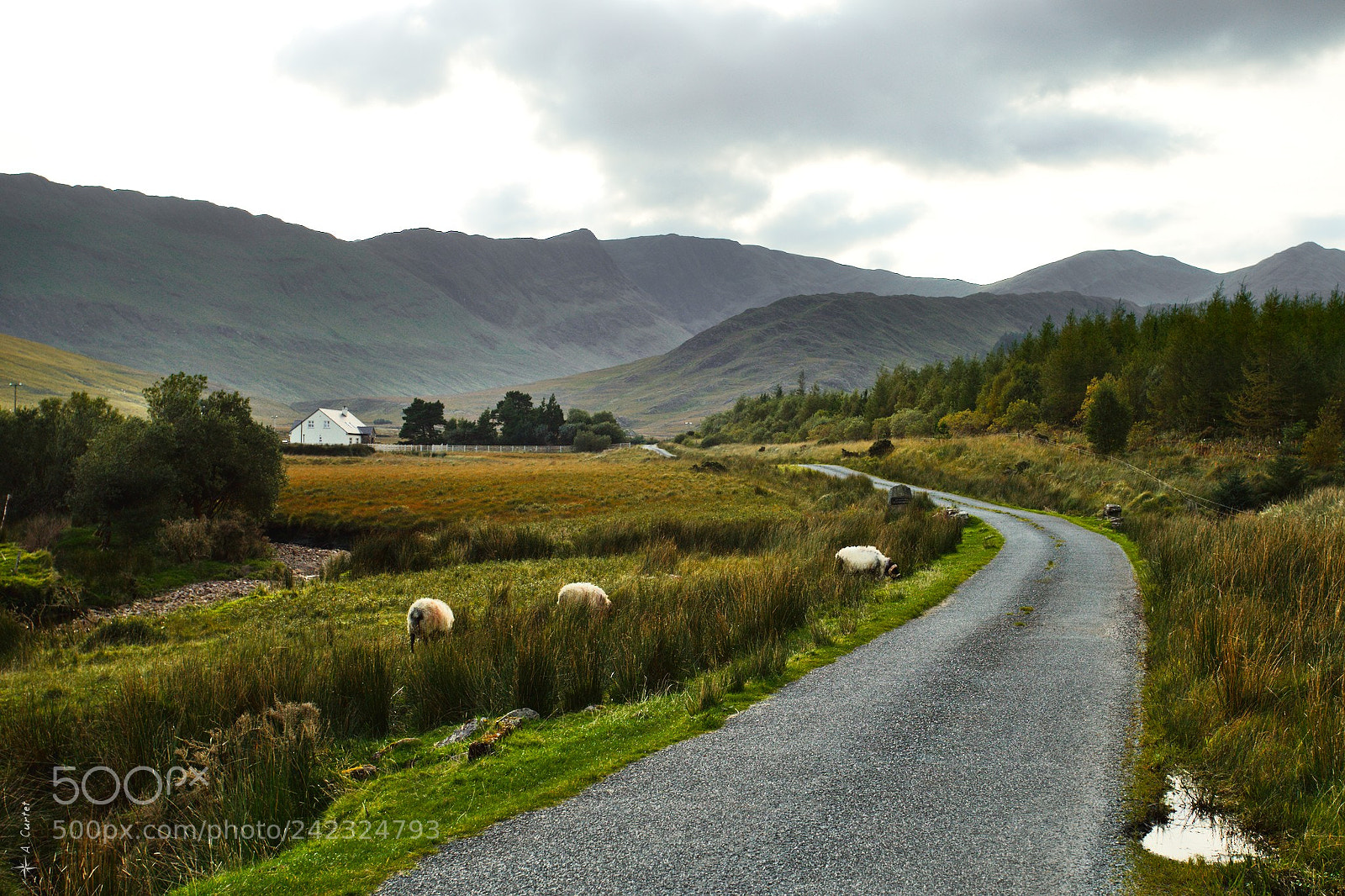 Canon EOS 6D + Canon EF 17-40mm F4L USM sample photo. Irish road photography