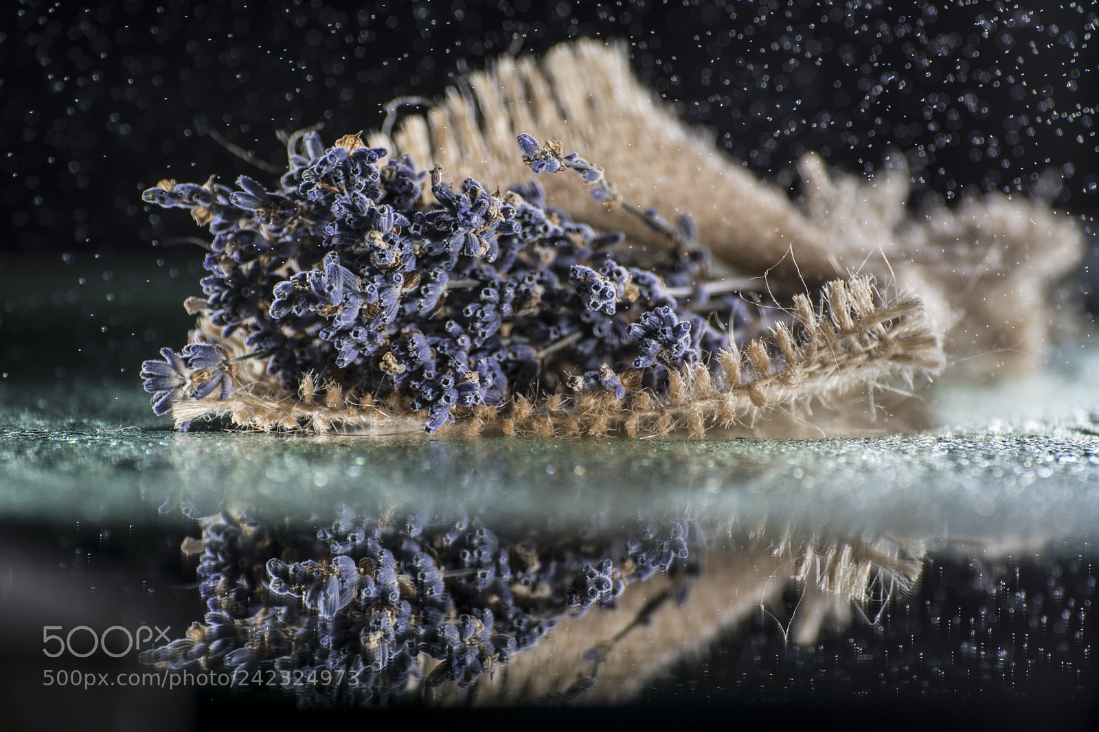 Nikon D7200 sample photo. Lavander photography