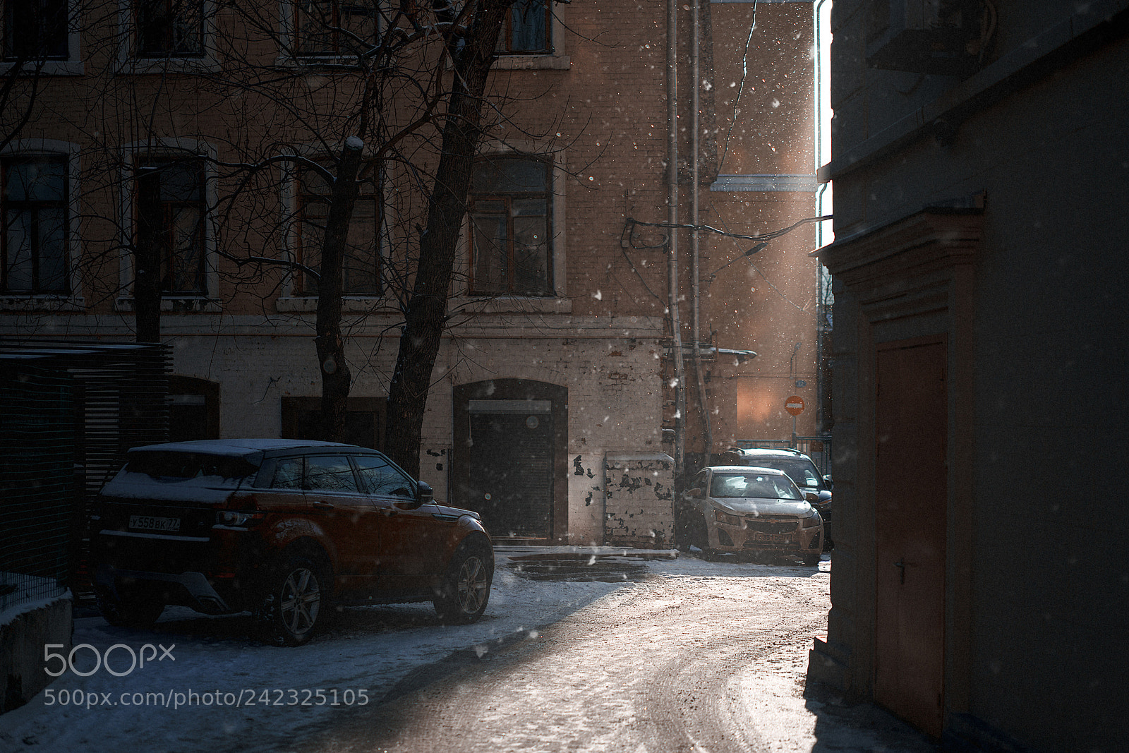 Sony a7R III sample photo. Finally it's snow photography