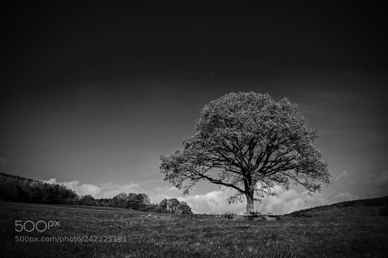 Nikon D7100 sample photo. What matters bw photography