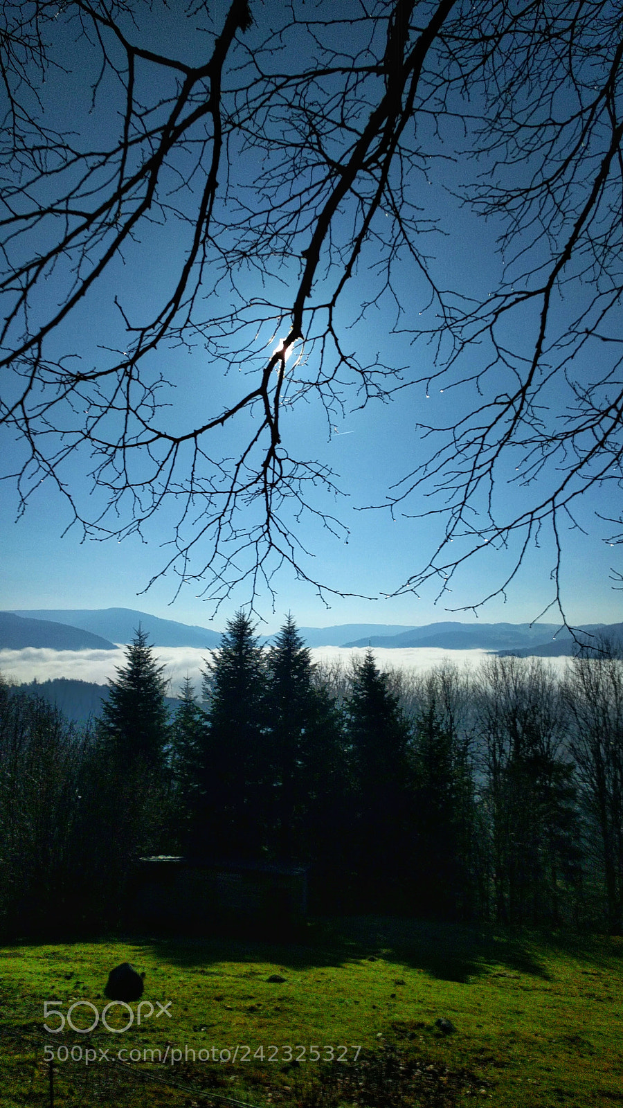 LG Nexus 5X sample photo. Mer de nuages vosges photography