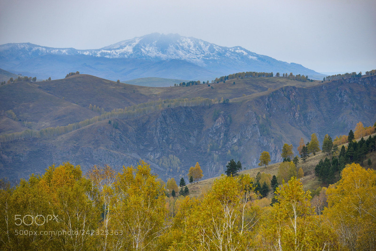 Nikon D800E sample photo. Altai photography