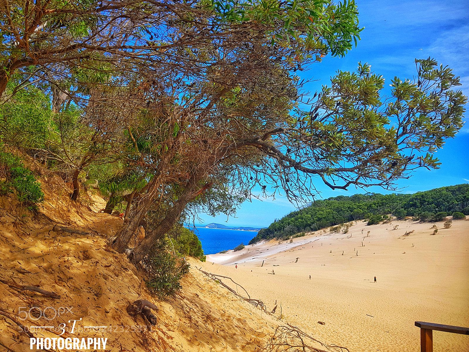 Samsung Galaxy S8+ sample photo. Carlo sand blow lookout photography