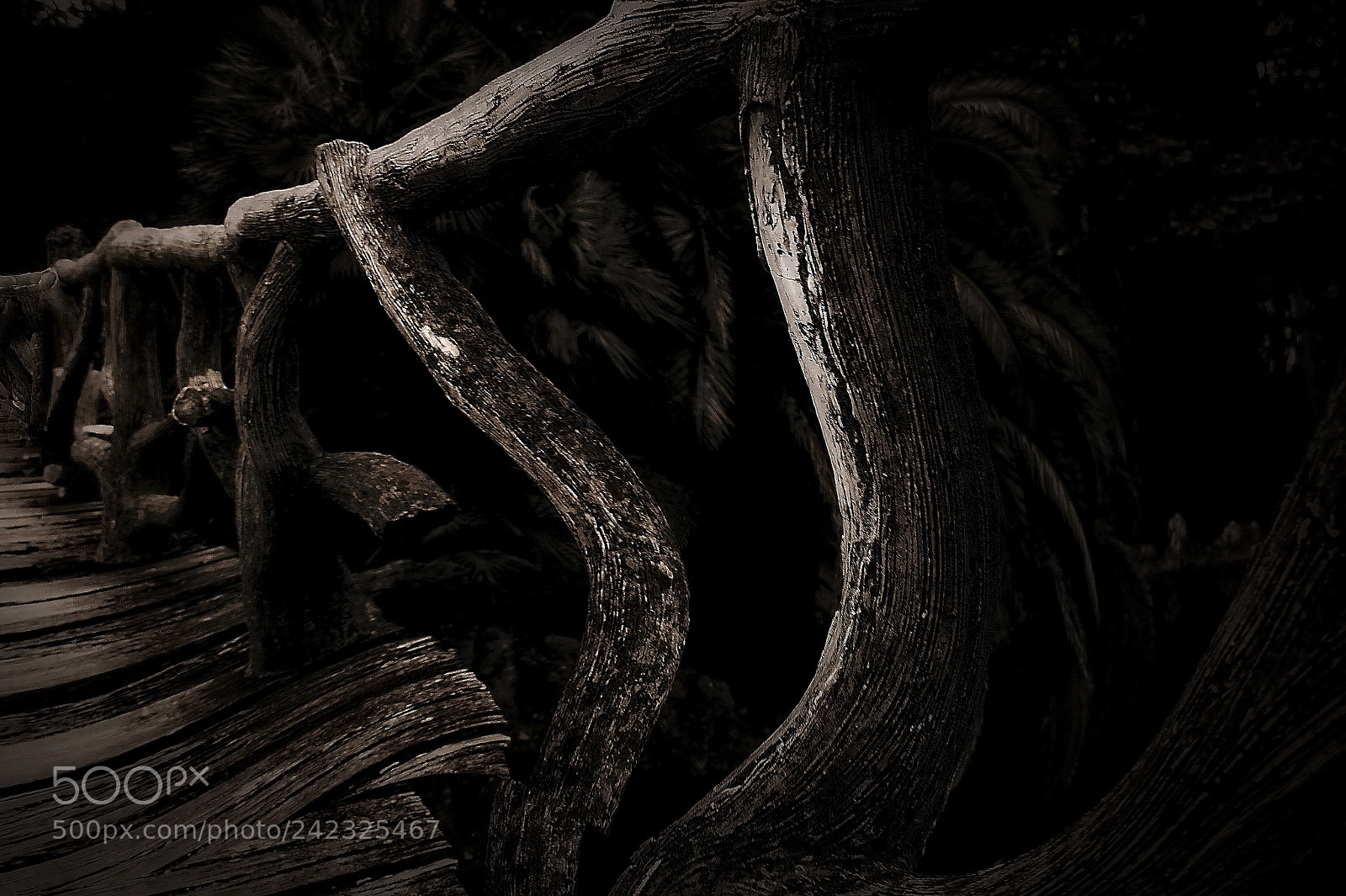 Canon EOS sample photo. A hard way photography