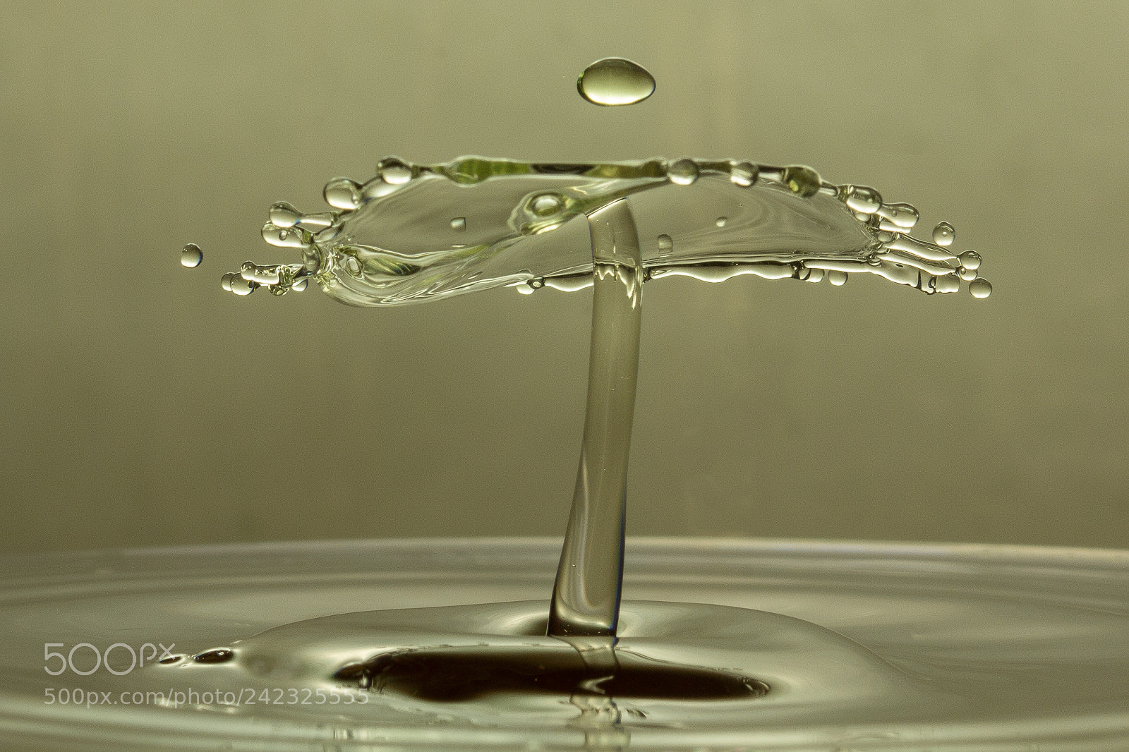Canon EOS 60D sample photo. Drops photography