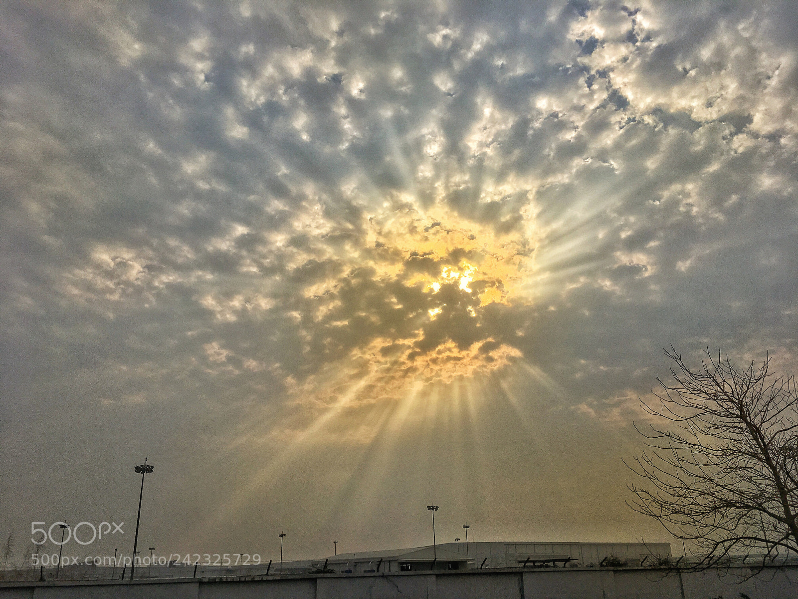 Apple iPhone 6s sample photo. Untitled photography