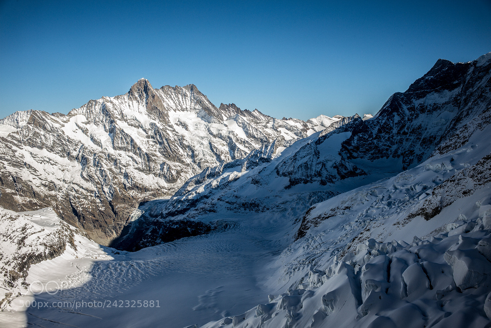 Leica M (Typ 240) sample photo. Jungfrau photography