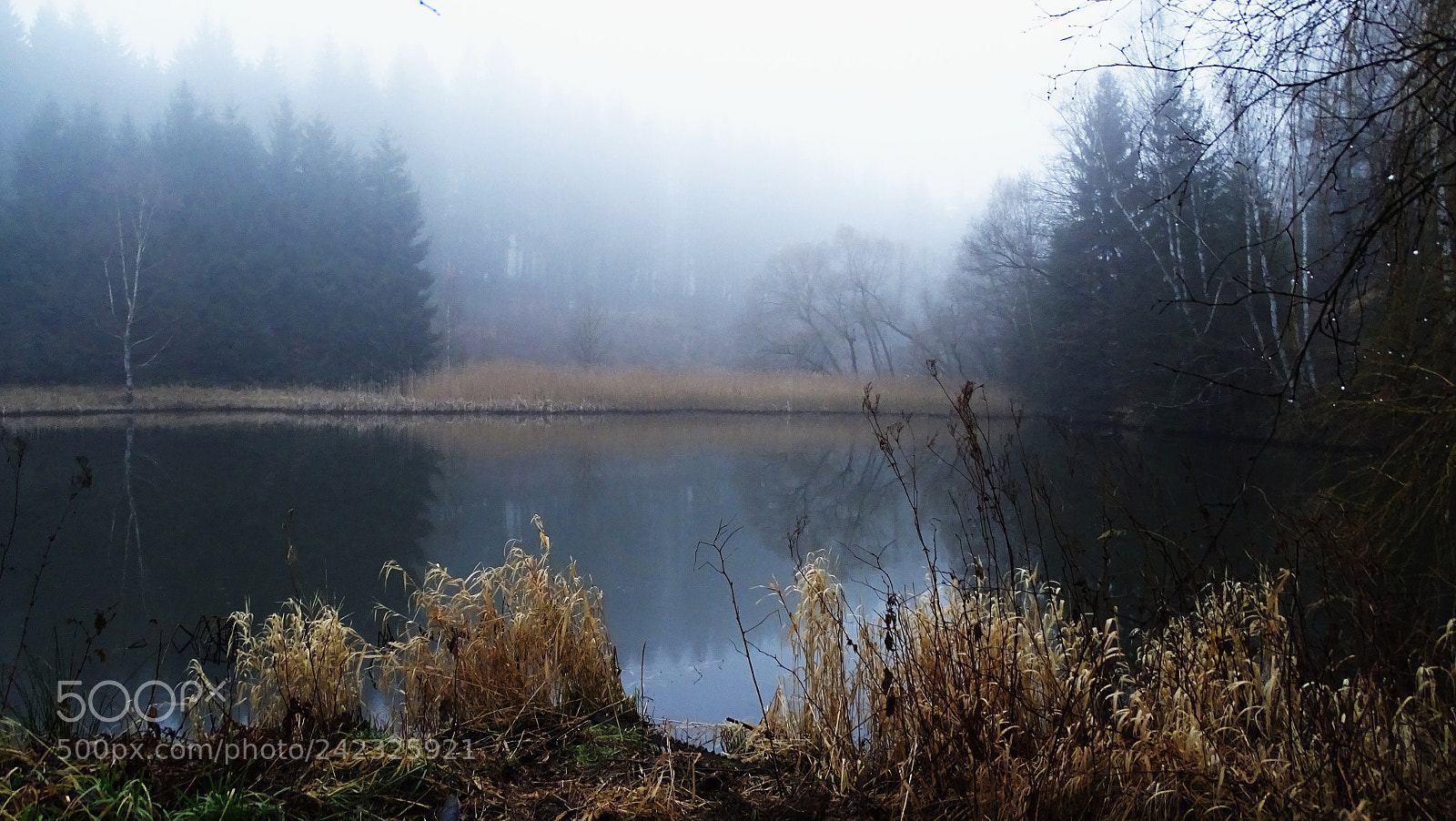 Sony Cyber-shot DSC-HX400V sample photo. Waldsee im nebel photography