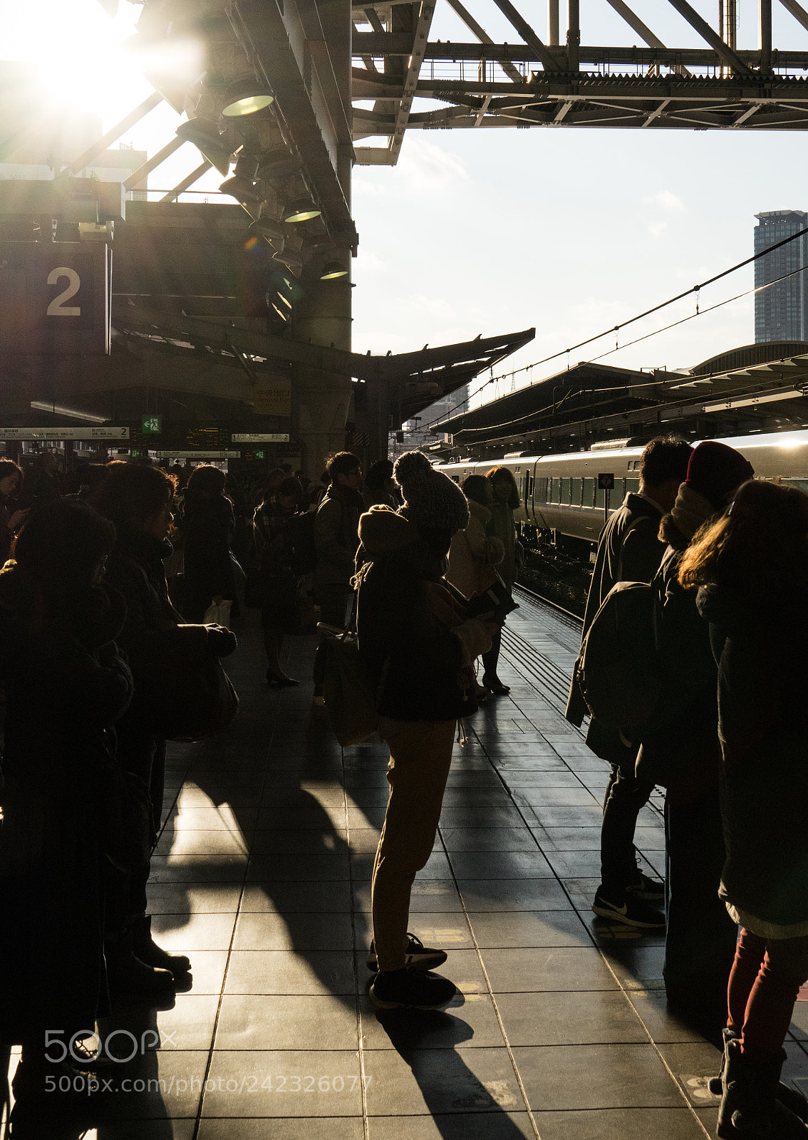Sony a7 II sample photo. 名称未設定 photography