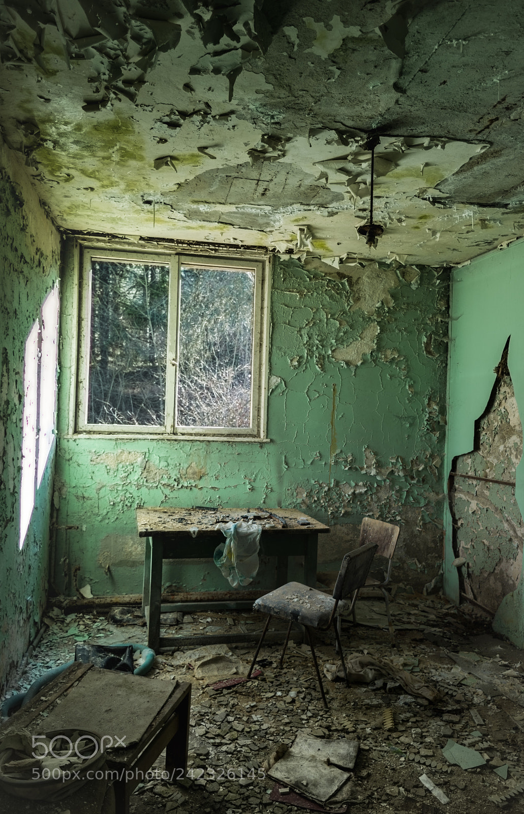 Nikon D7200 sample photo. Destructive decline photography