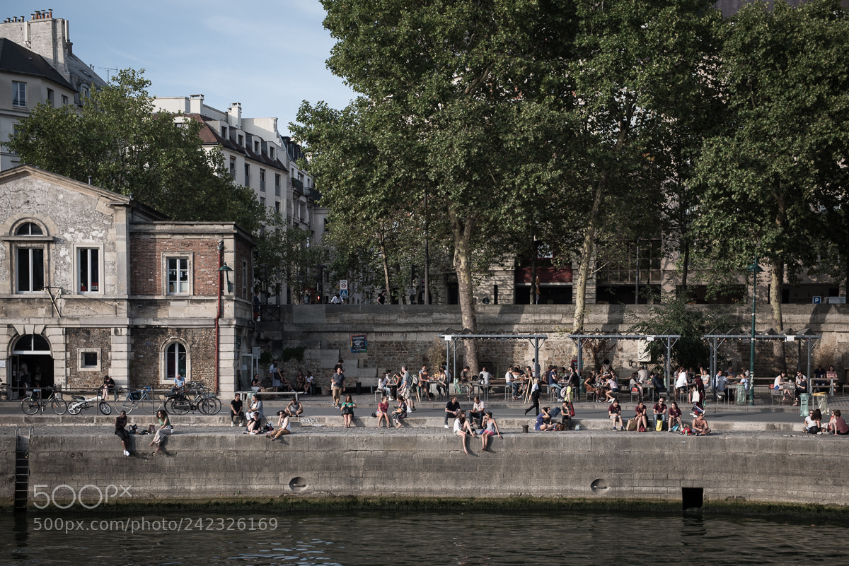 Nikon D750 sample photo. Summer by the seine photography