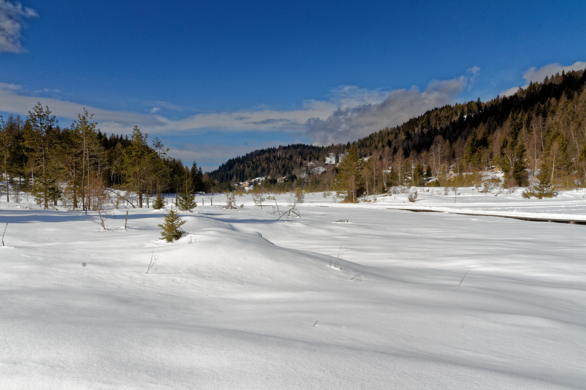 Tamron SP AF 17-50mm F2.8 XR Di II LD Aspherical (IF) sample photo. Fresh snow photography