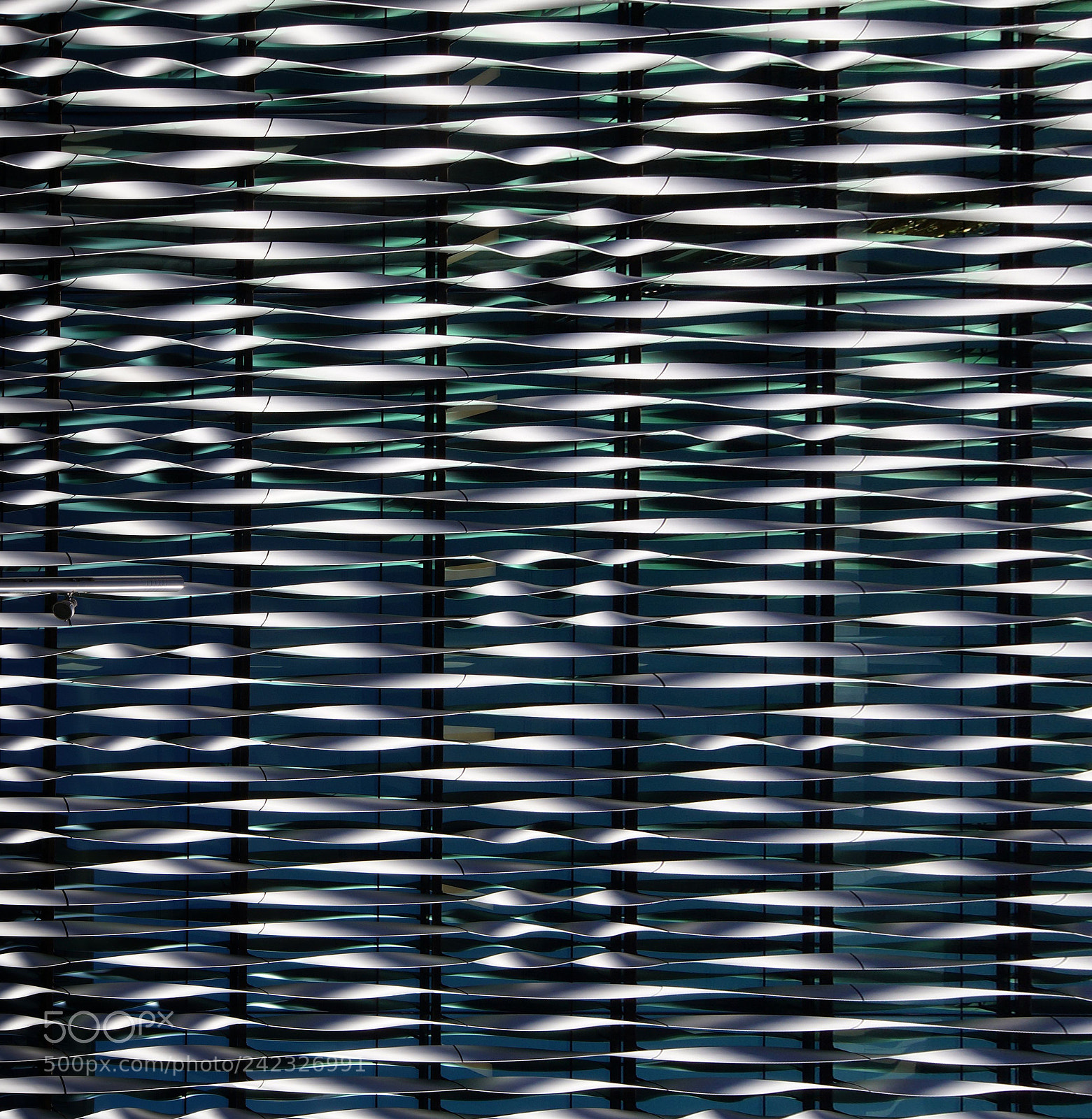 Sony SLT-A57 sample photo. Twisted strands photography