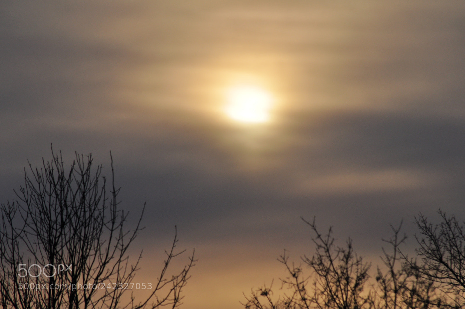 Nikon D5000 sample photo. Ice fog photography