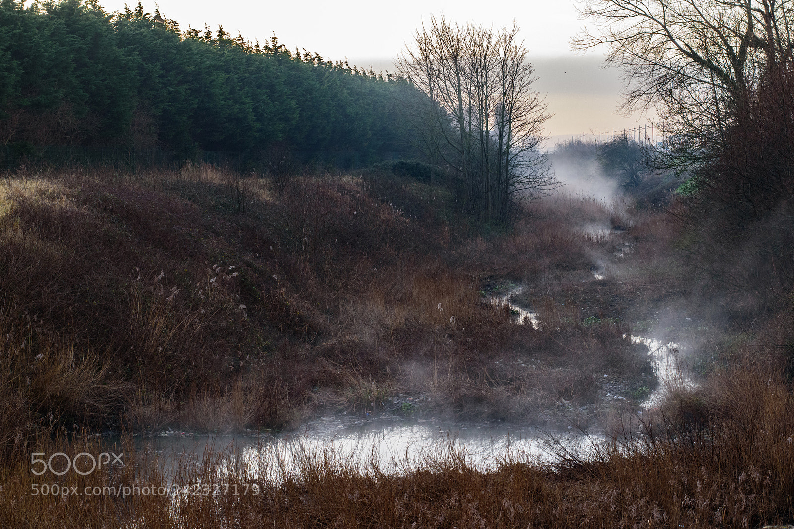 Nikon D5500 sample photo. Brouillard sur le ruisseau photography