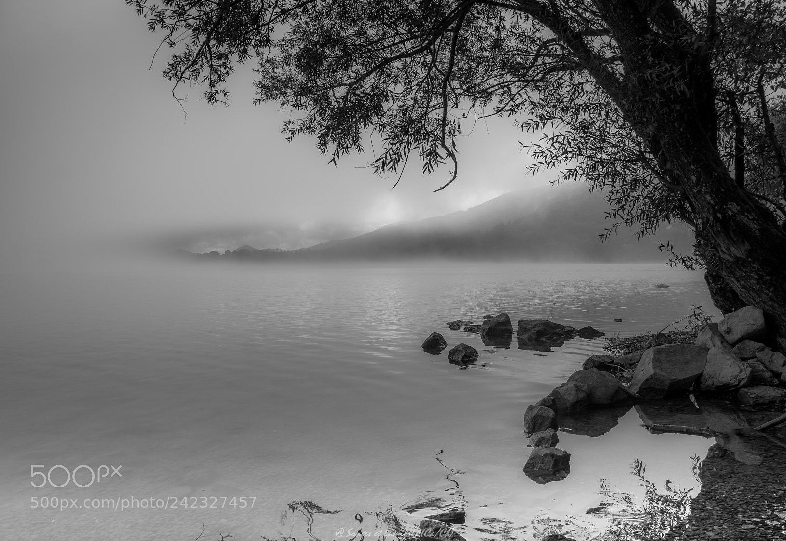 Nikon D7100 sample photo. Brume matinale photography