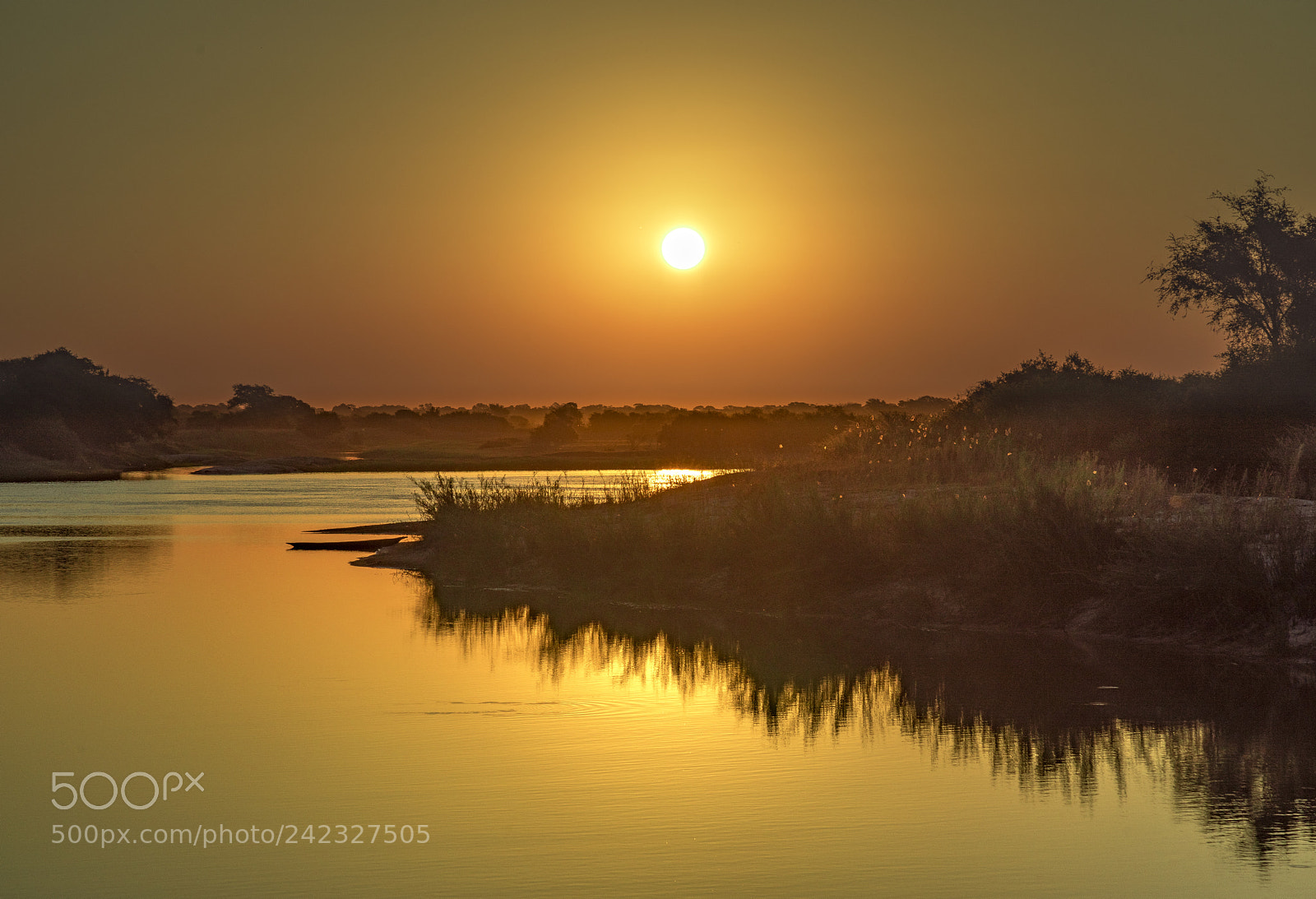 Nikon D810 sample photo. Afternoon on the zambezi photography
