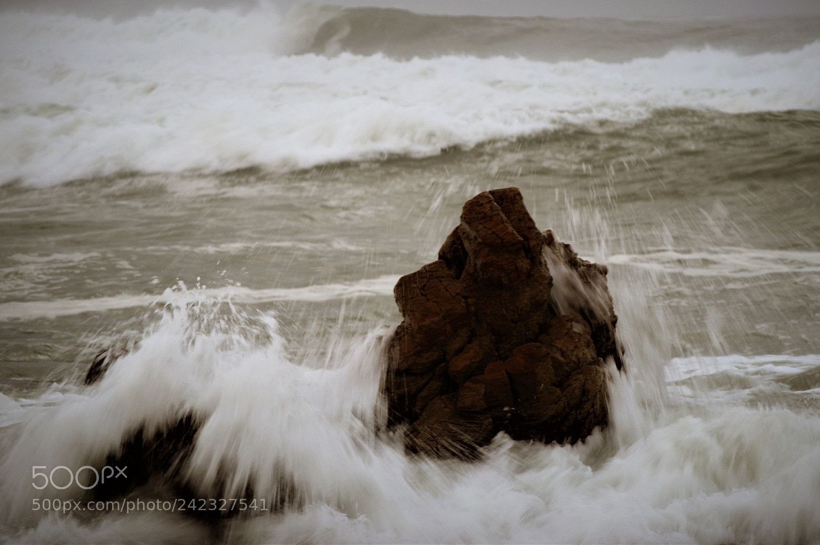 Nikon D3200 sample photo. () photography